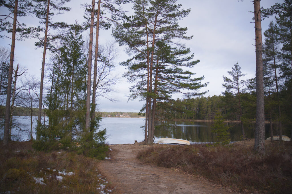 dsc 0277