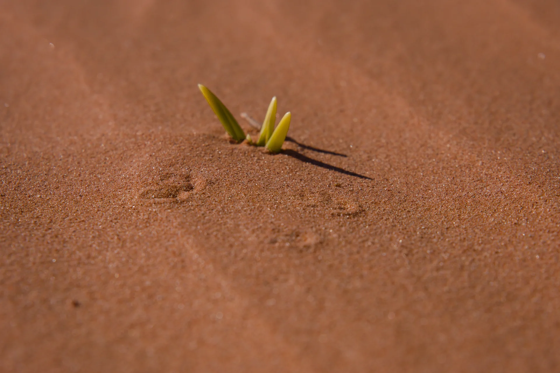 Marokko Nach dem Regen