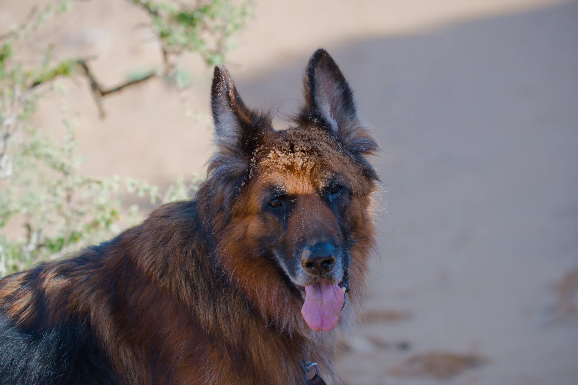 Marokko dsc 2573