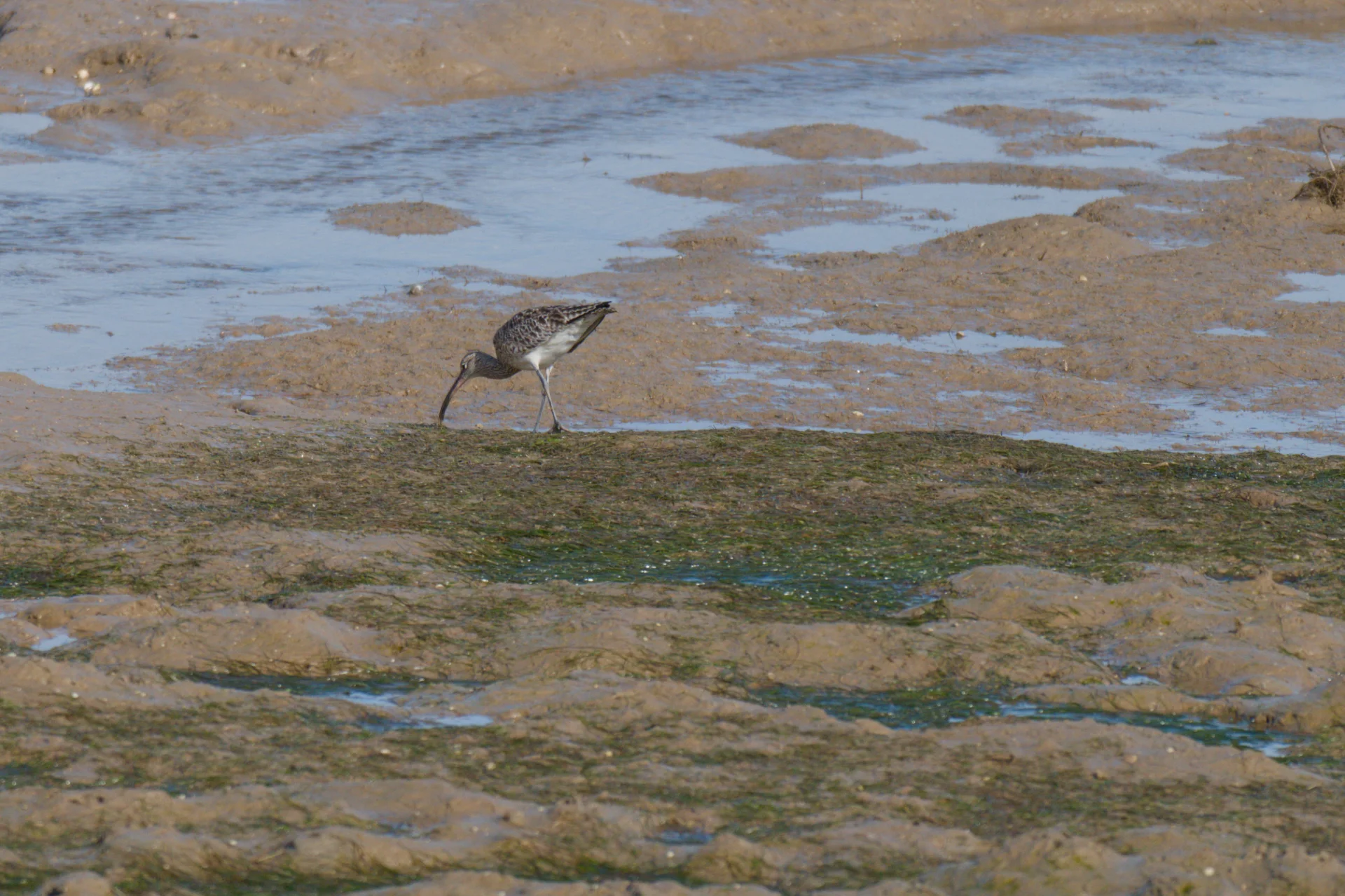 Marokko dsc 2579