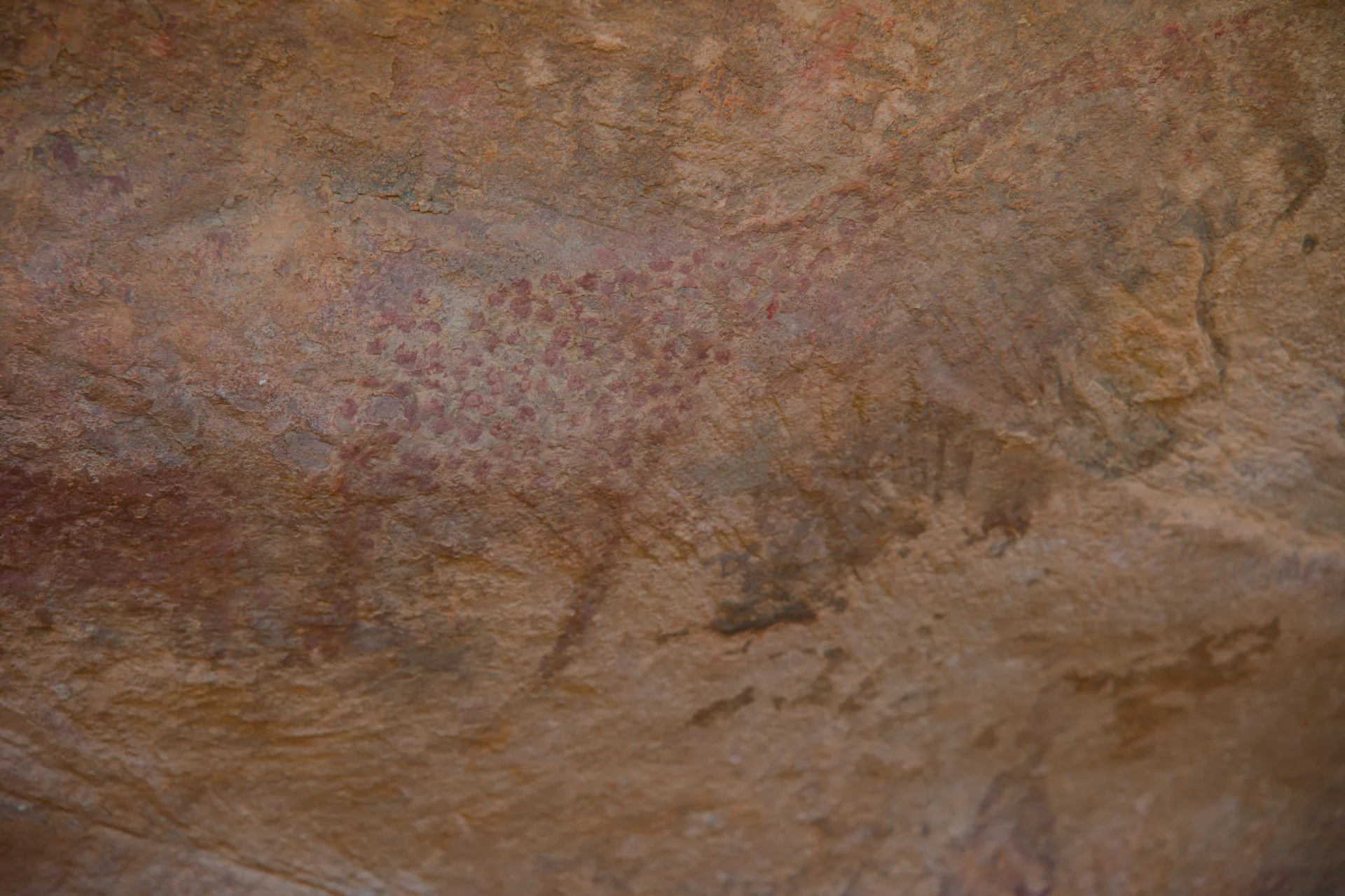 Mauretanien 3000-6000 Jahre alt