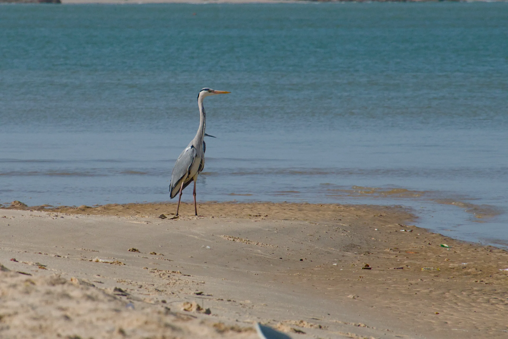 Senegal dsc 3223