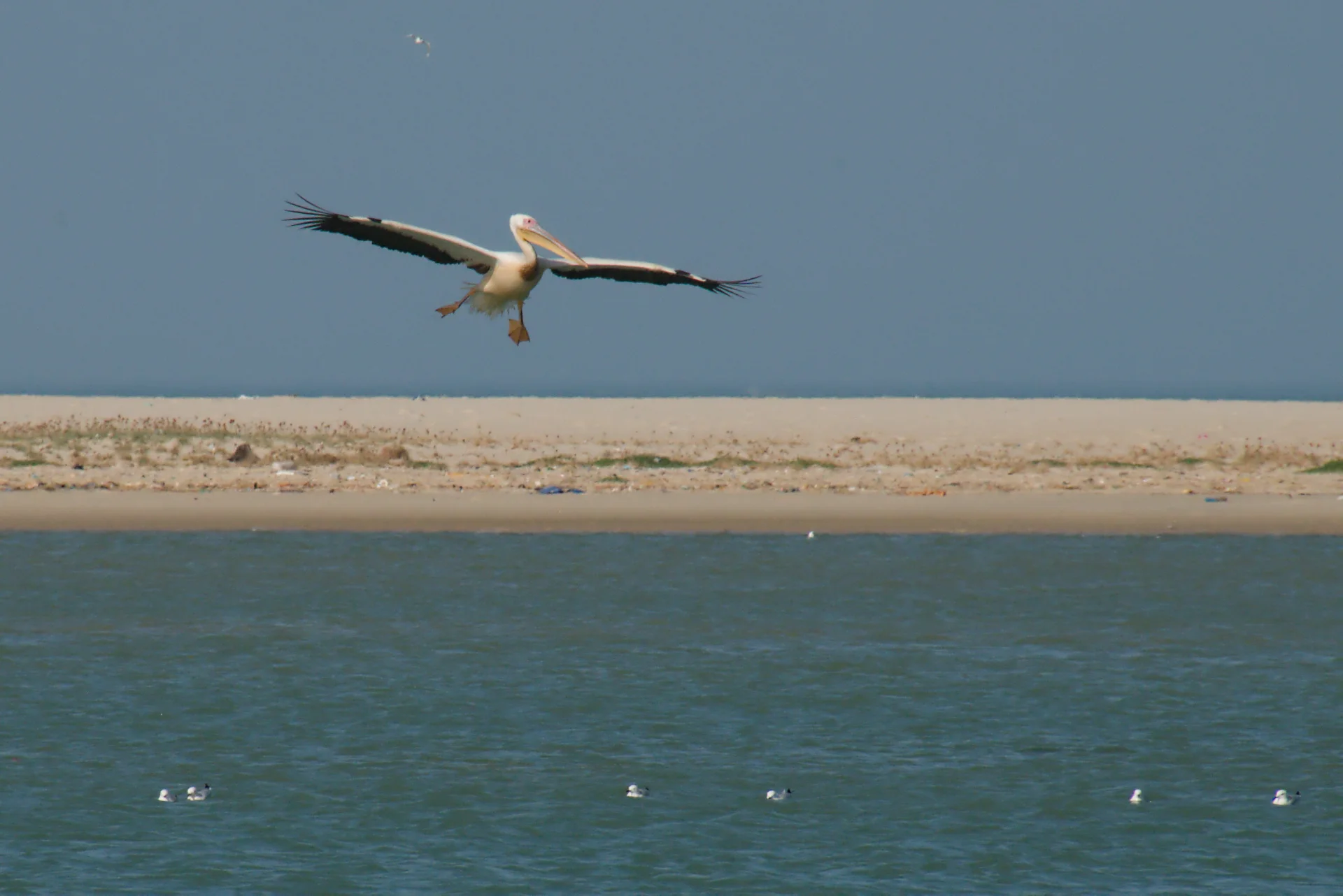 Senegal dsc 3229