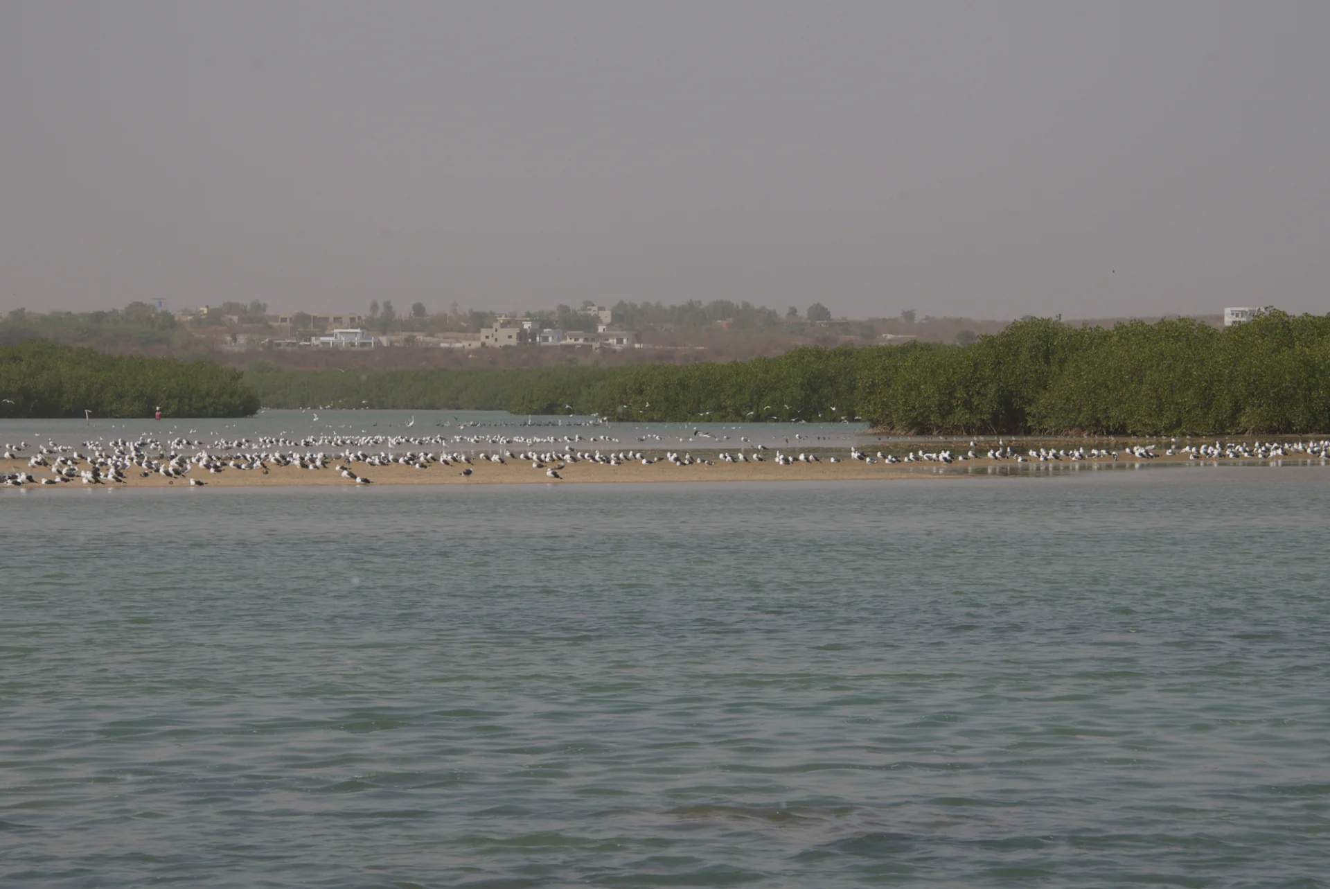 Senegal dsc 3272
