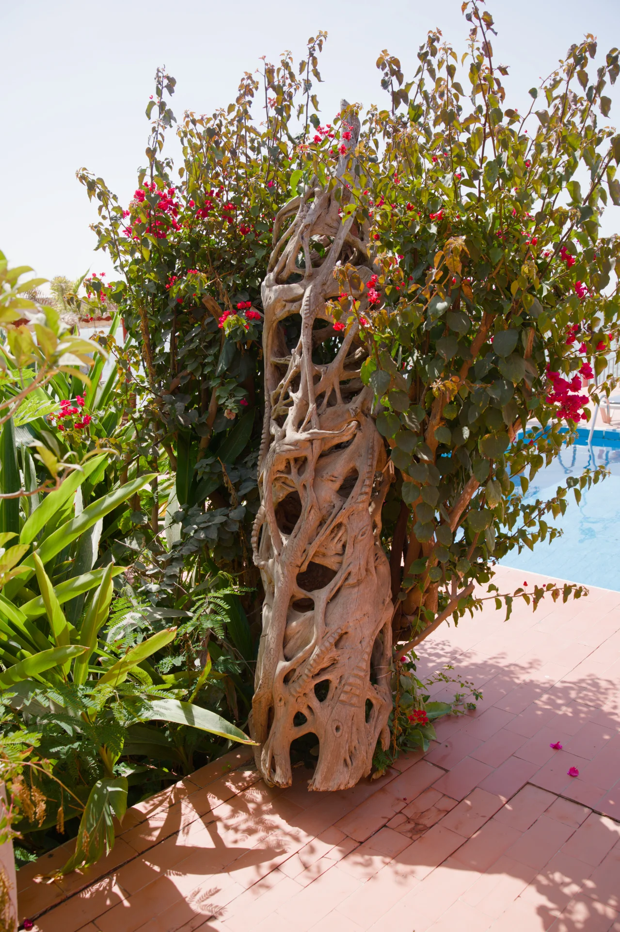 Senegal dsc 3587