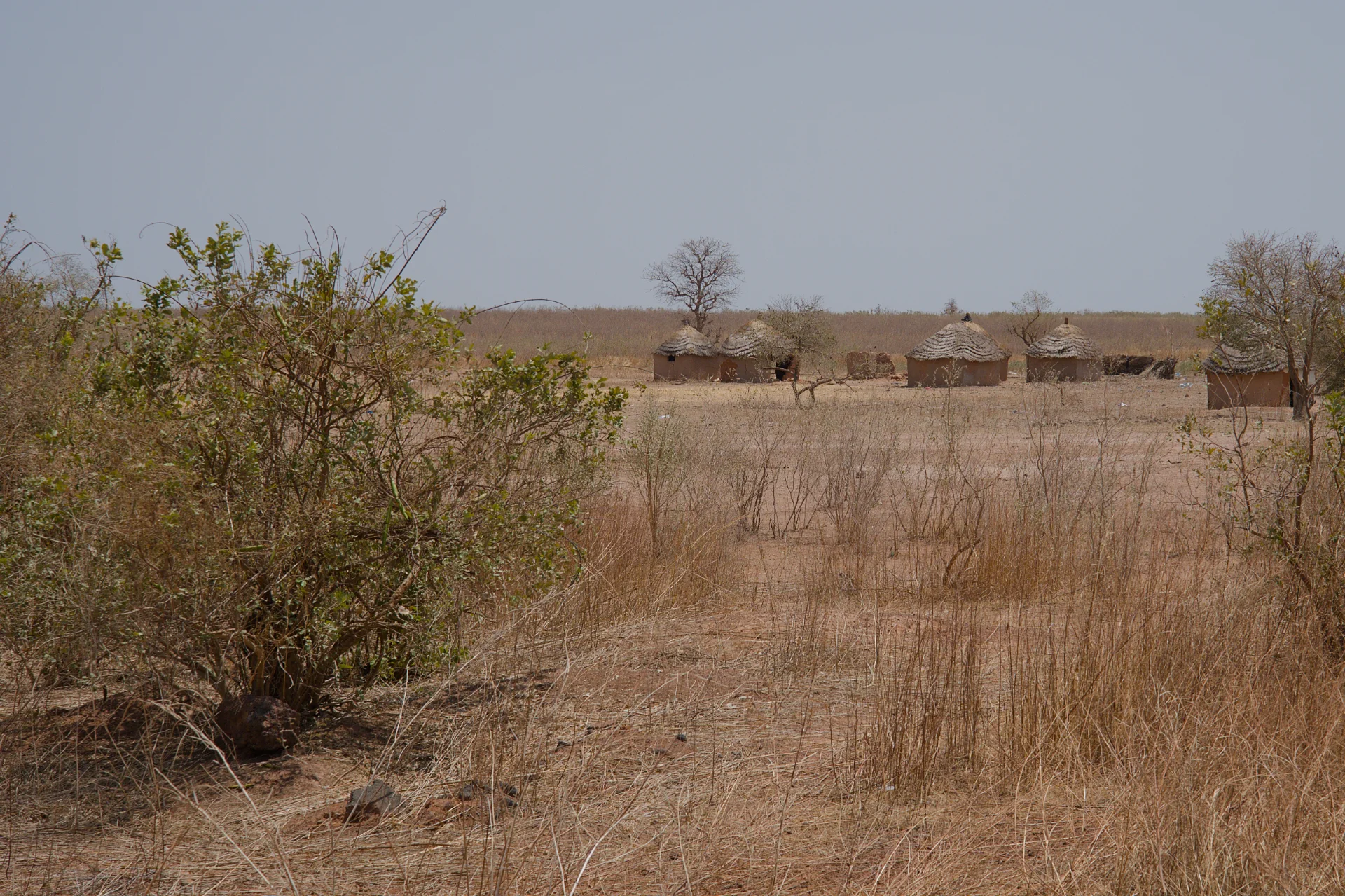Senegal dsc 3614