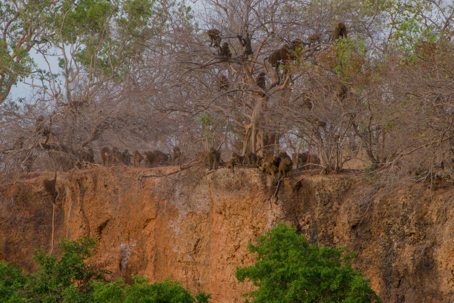 Senegal dsc 3626