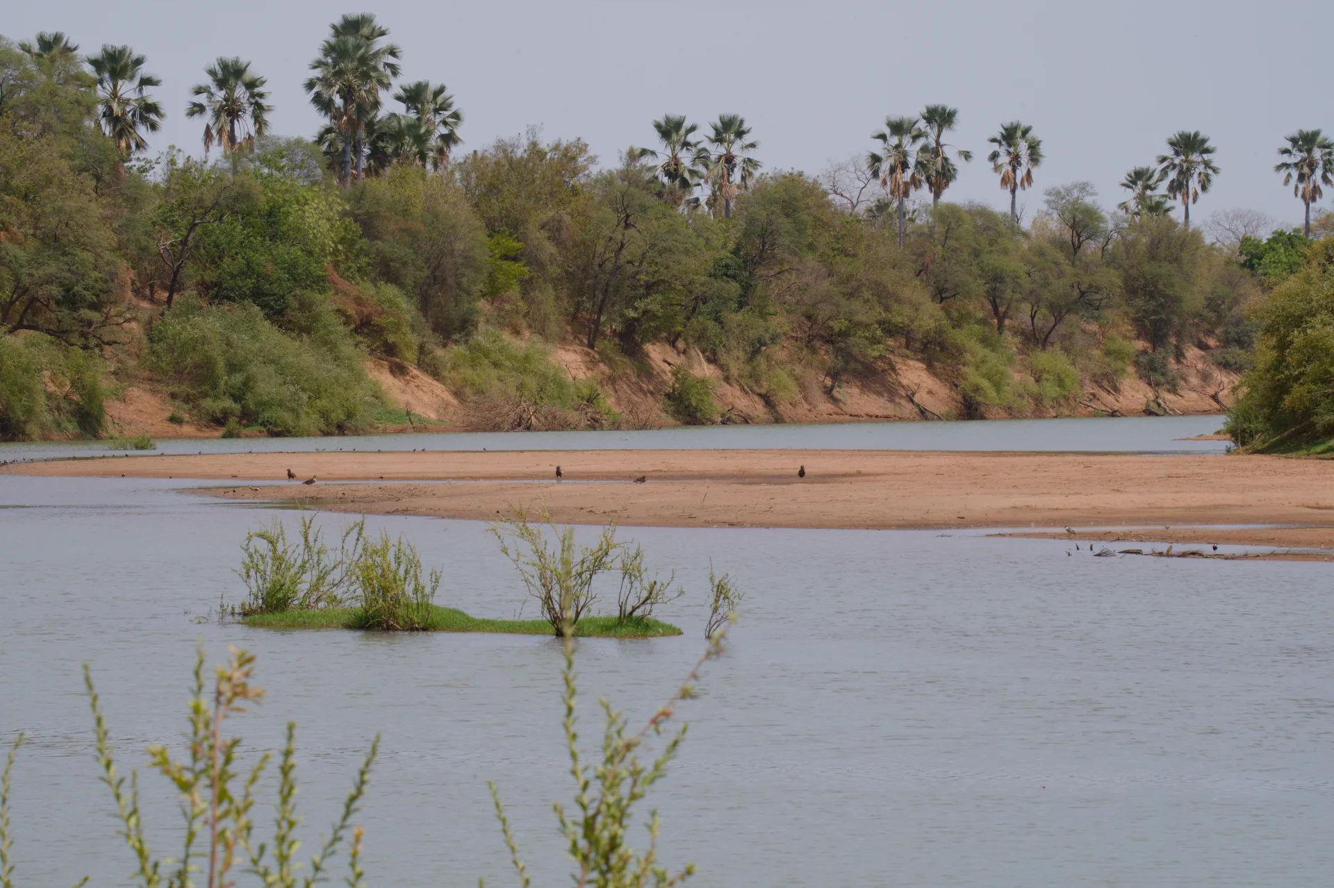 Senegal dsc 3676