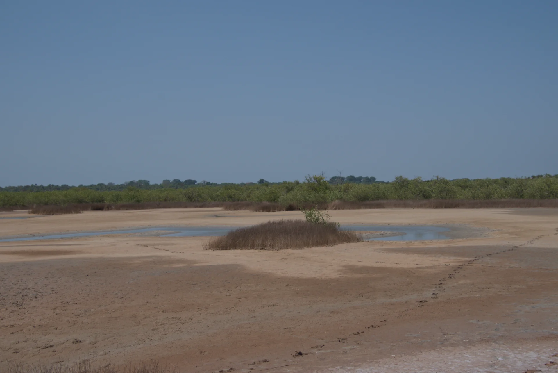 Senegal dsc 3716