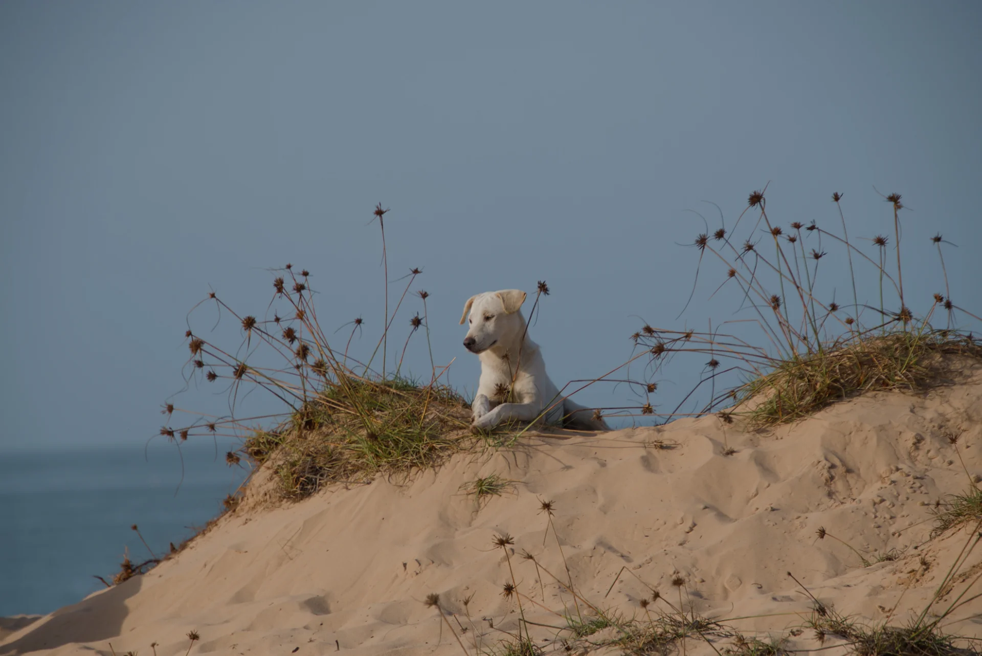 Senegal dsc 3734