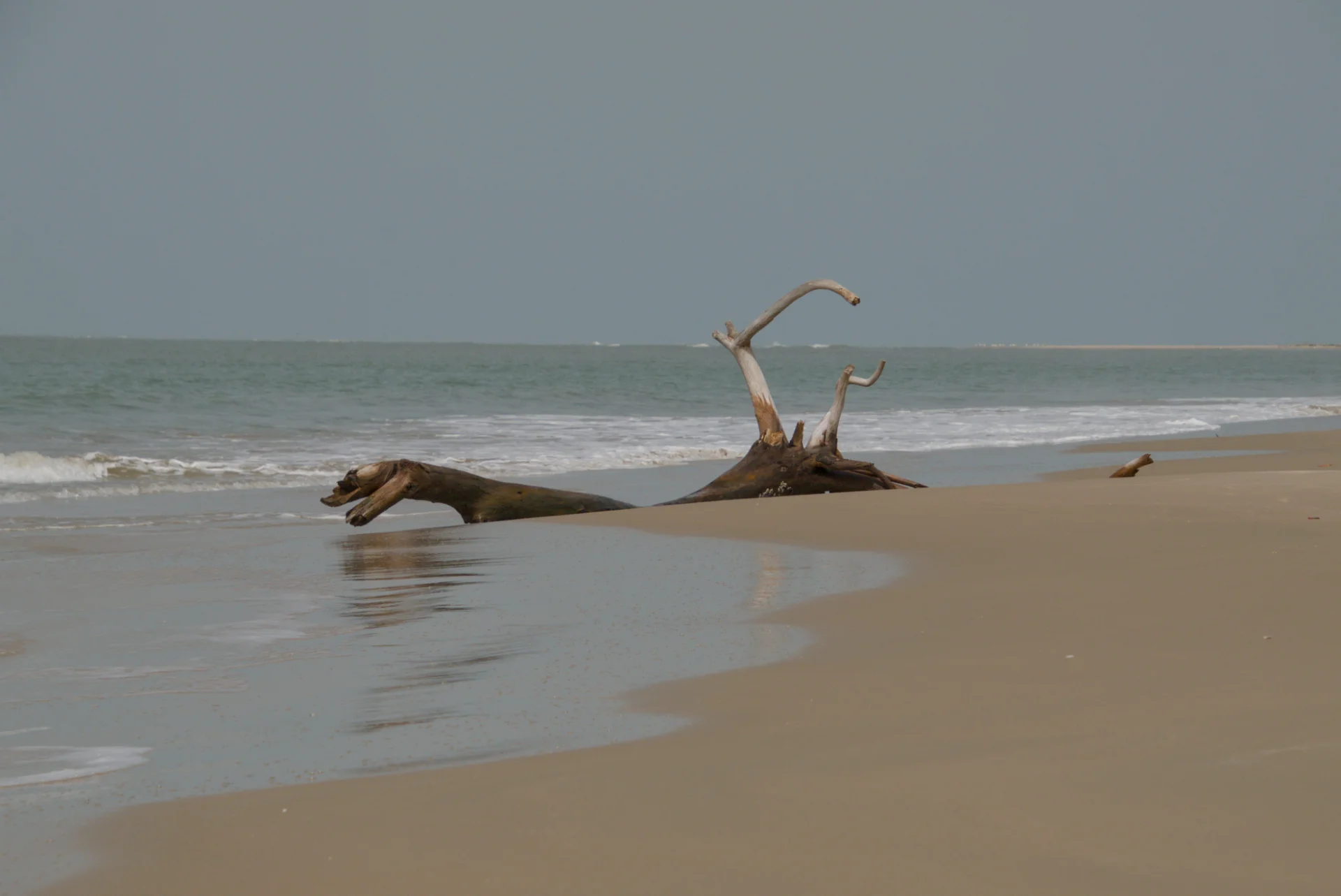 Senegal dsc 3761
