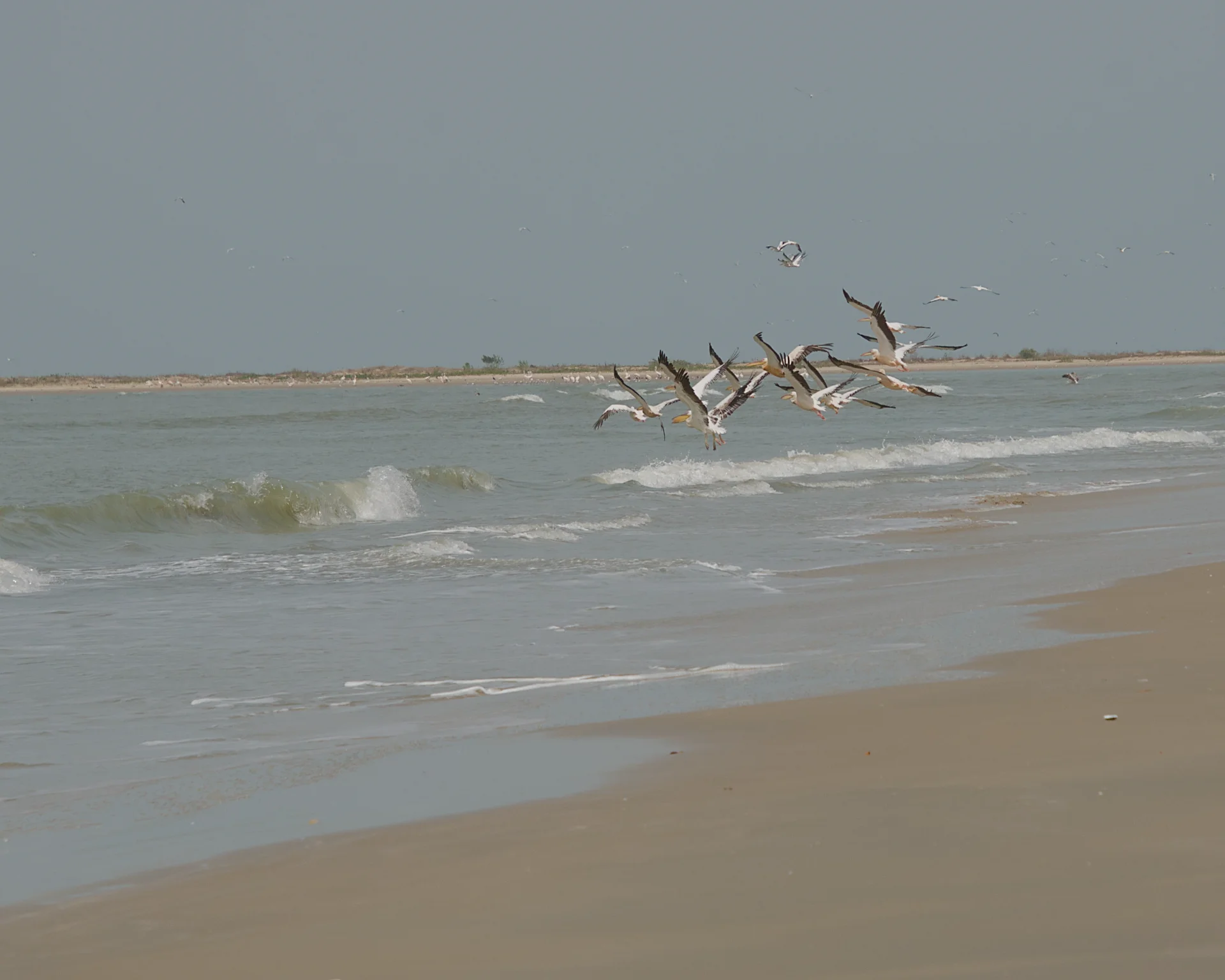 Senegal dsc 3791