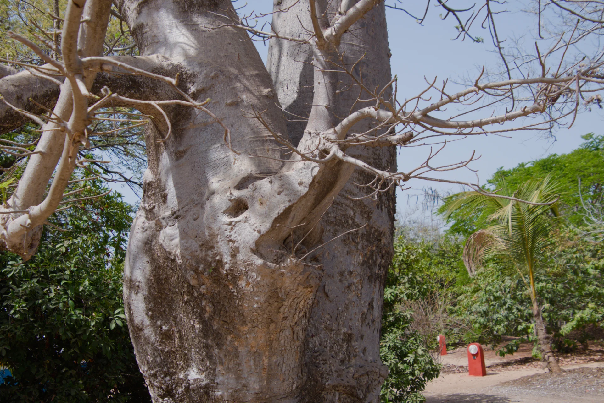 Senegal dsc 3959