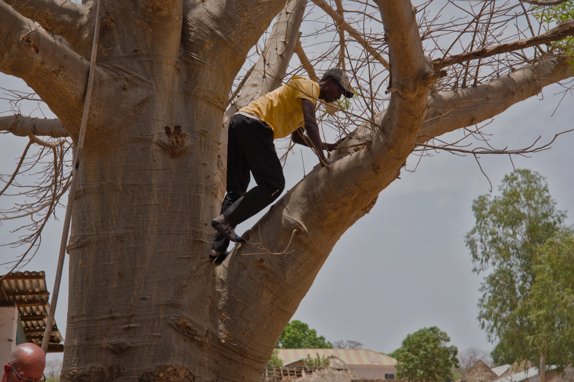 Senegal dsc 4208