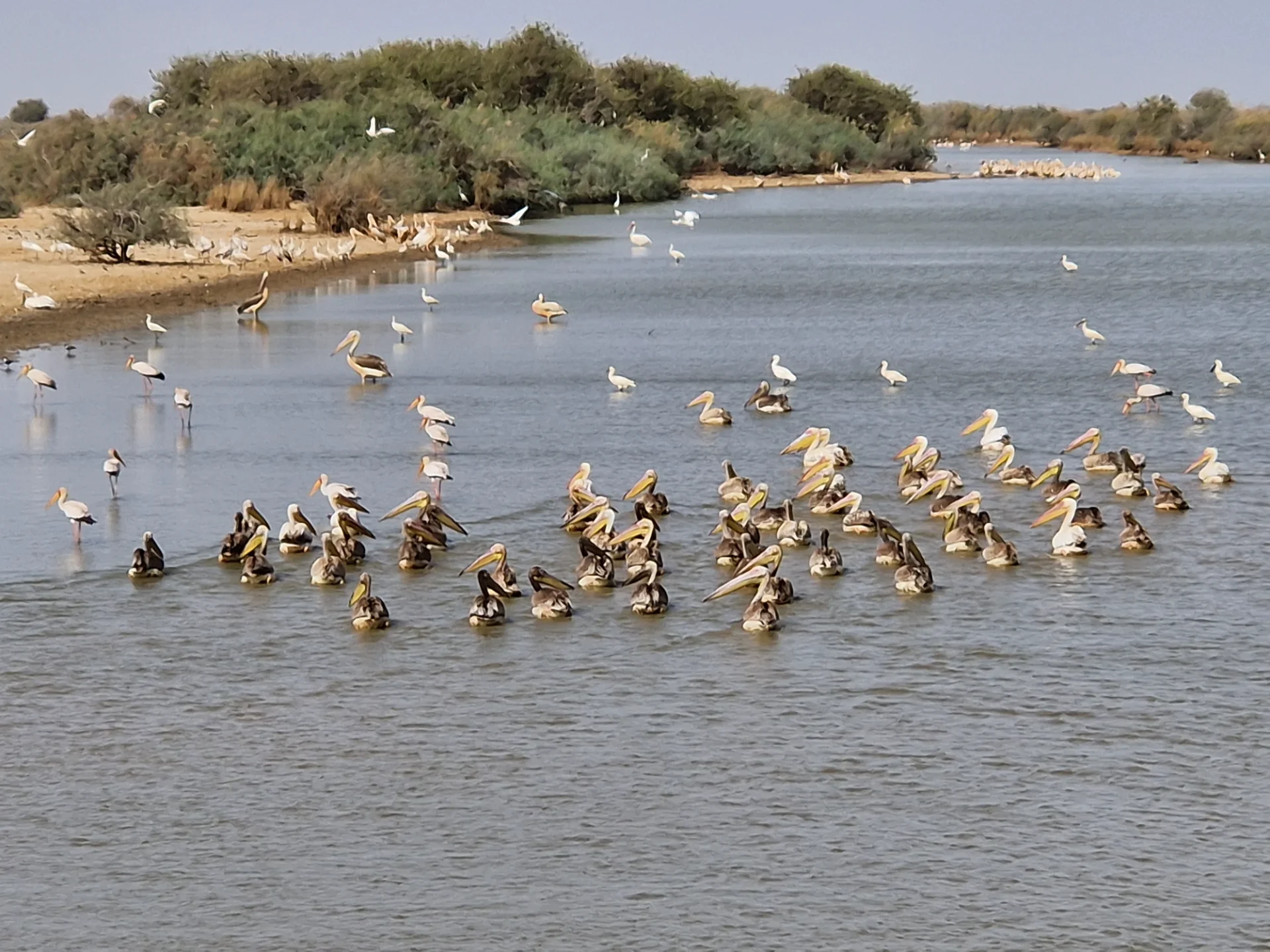 Senegal 20260503 161501