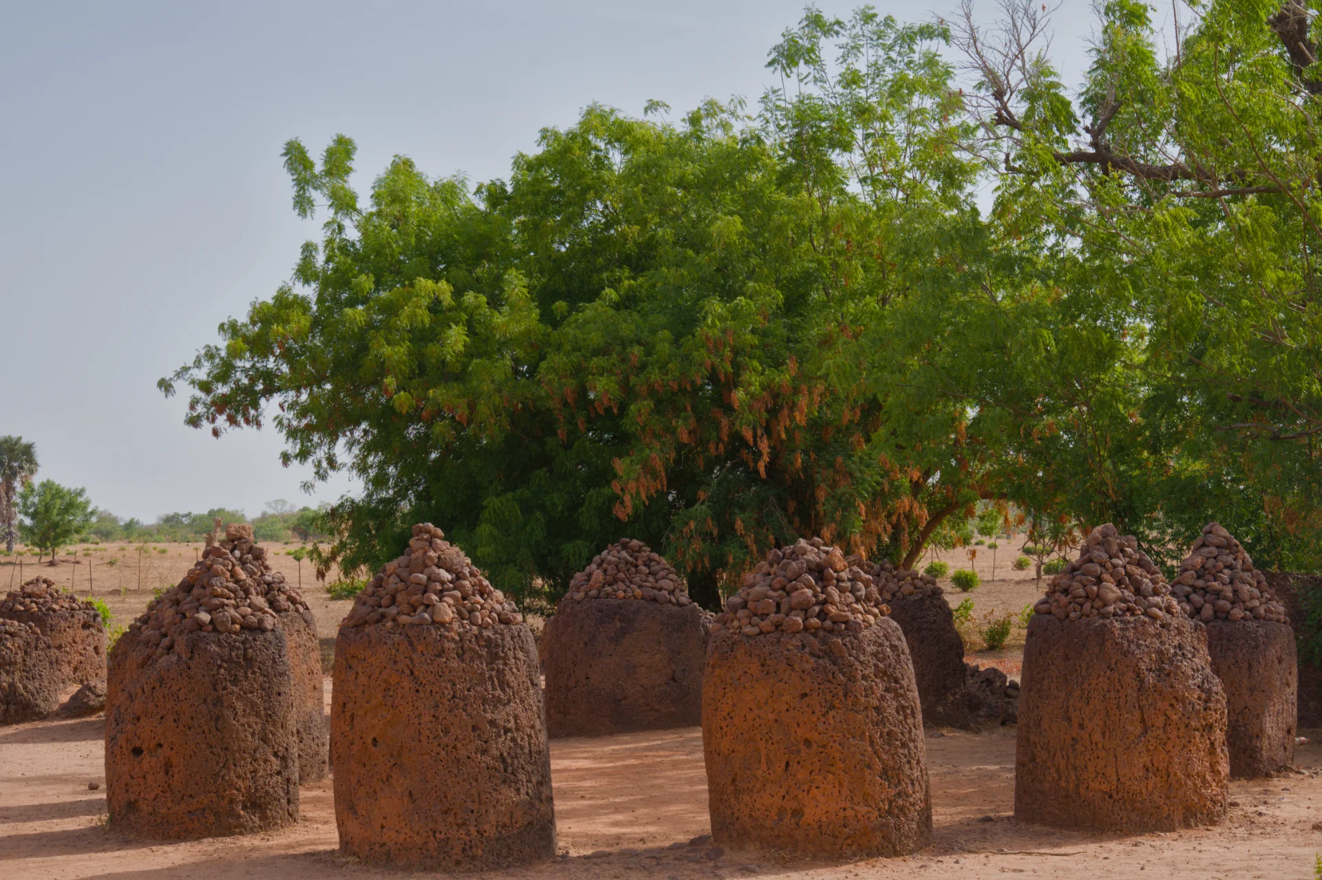 Senegal dsc 4245